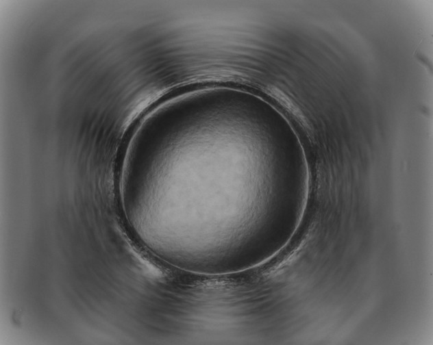 X0000091590834200708271241
