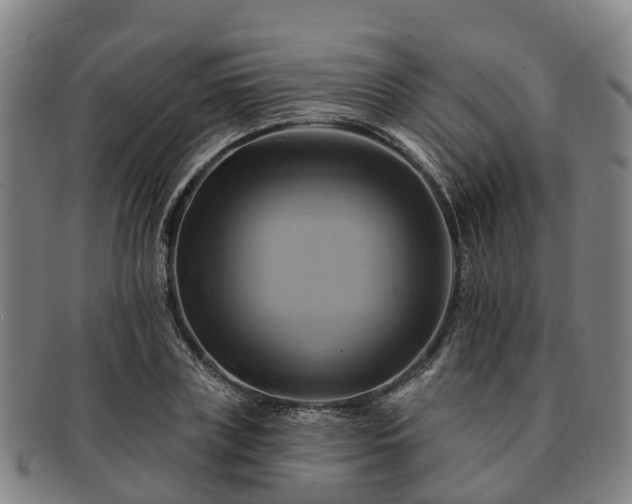 X0000091590835200708271241
