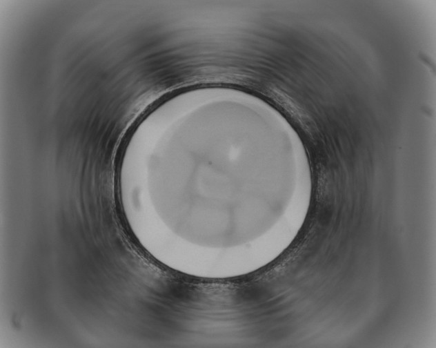X0000091590836200708271241