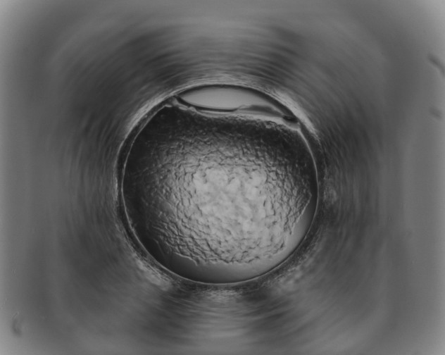 X0000091590837200708271241