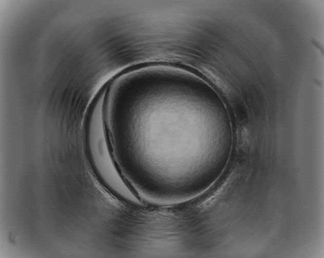 X0000091590838200708271241