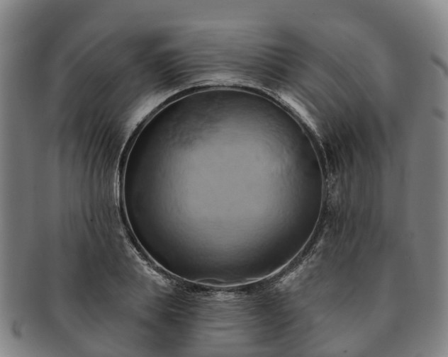 X0000091590839200708271241