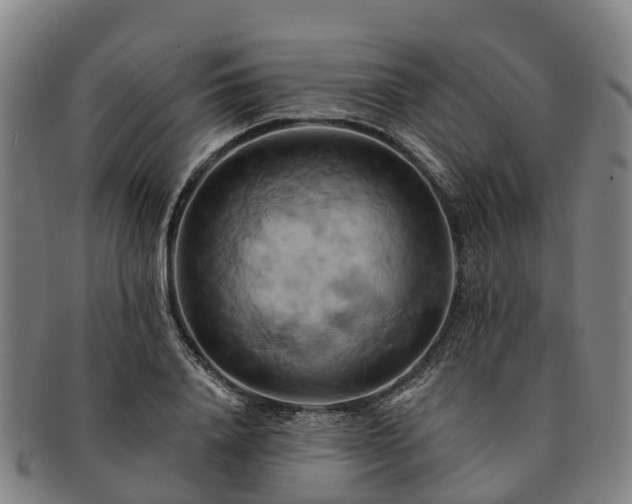 X0000091590840200708271241