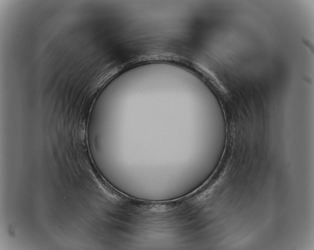 X0000091590841200708271241