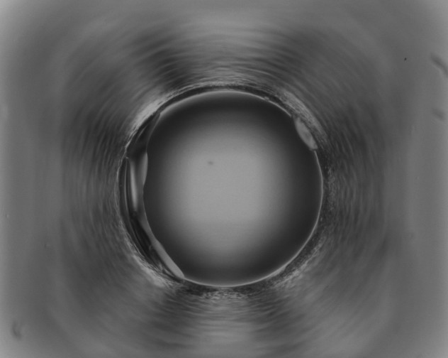 X0000091590842200708271241