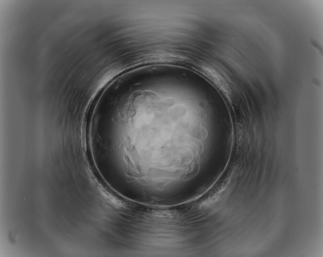 X0000091590843200708271241