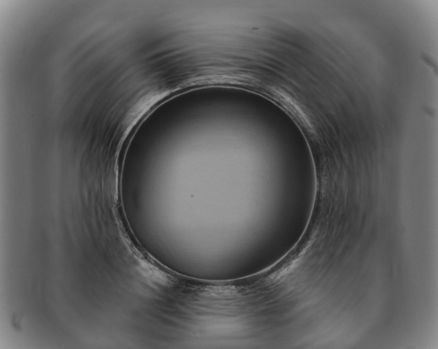 X0000091590844200708271241