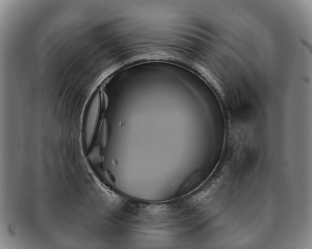 X0000091590845200708271241