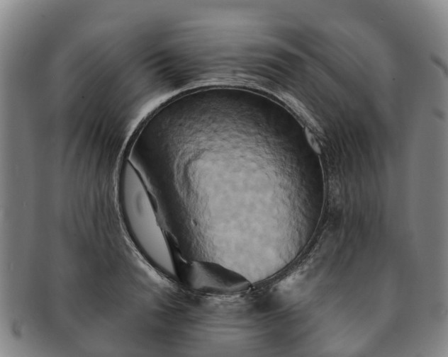 X0000091590846200708271241