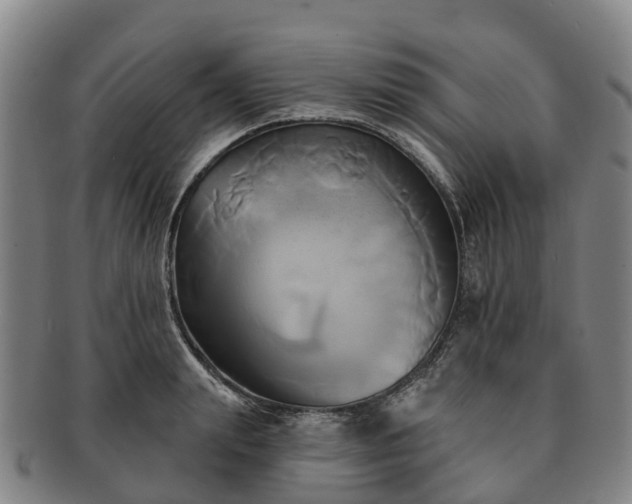 X0000091590847200708271241