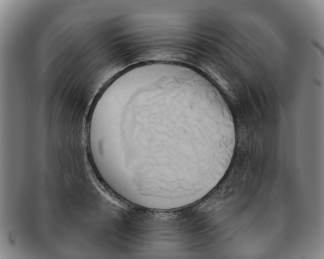 X0000091590848200708271241