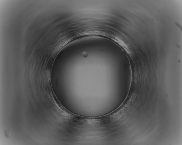 X0000091590849200708271241