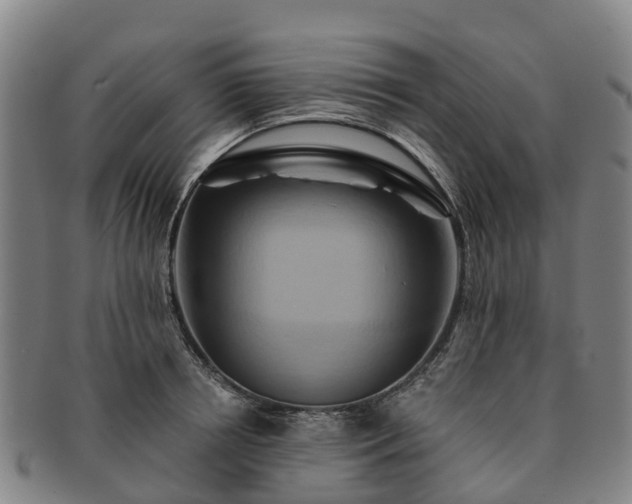 X0000091590850200708271241