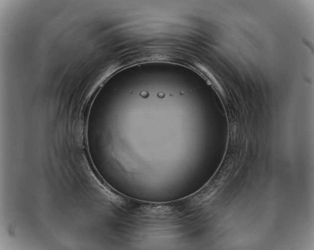 X0000091590851200708271241