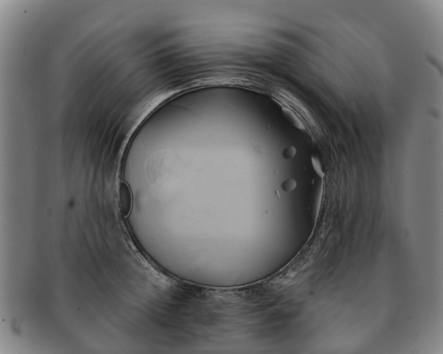 X0000091590852200708271241