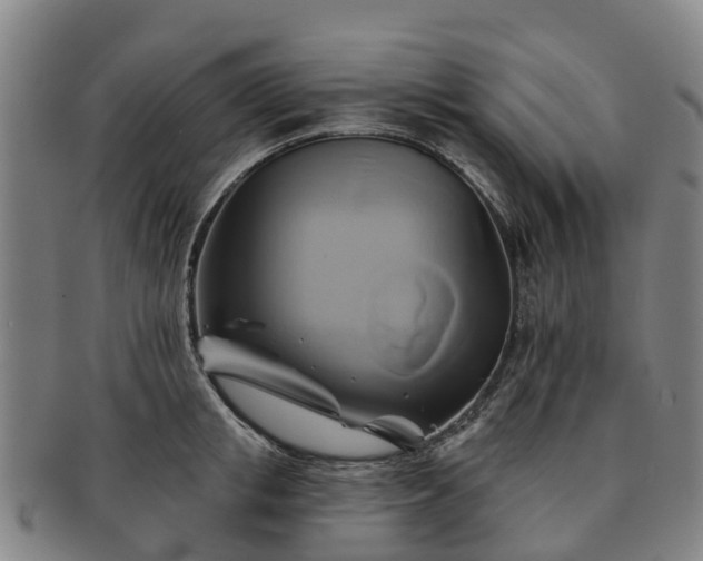 X0000091590853200708271241