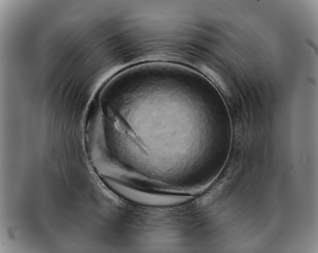 X0000091590854200708271241
