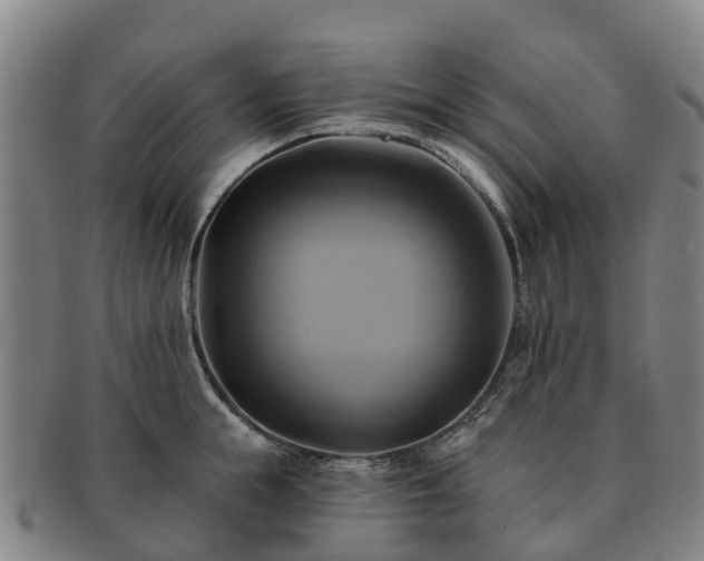X0000091590855200708271241