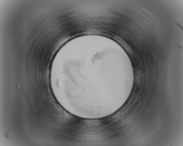 X0000091590856200708271242