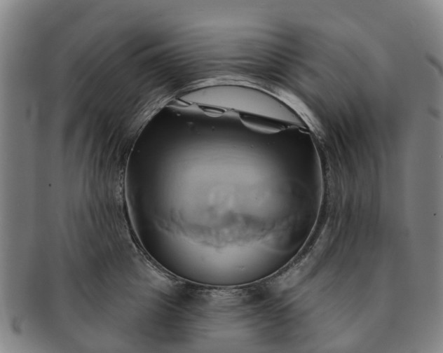X0000091590857200708271242