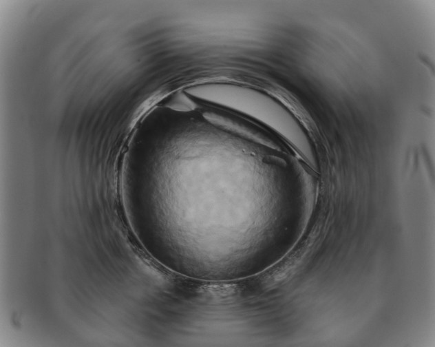 X0000091590858200708271242