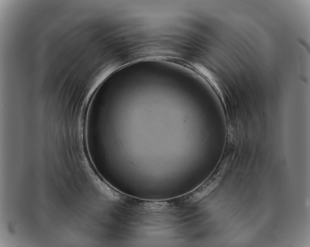 X0000091590859200708271242