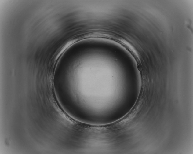 X0000091590860200708271242