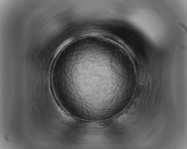 X0000091590861200708271242