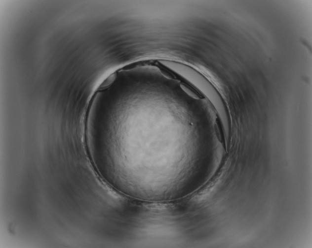 X0000091590862200708271242