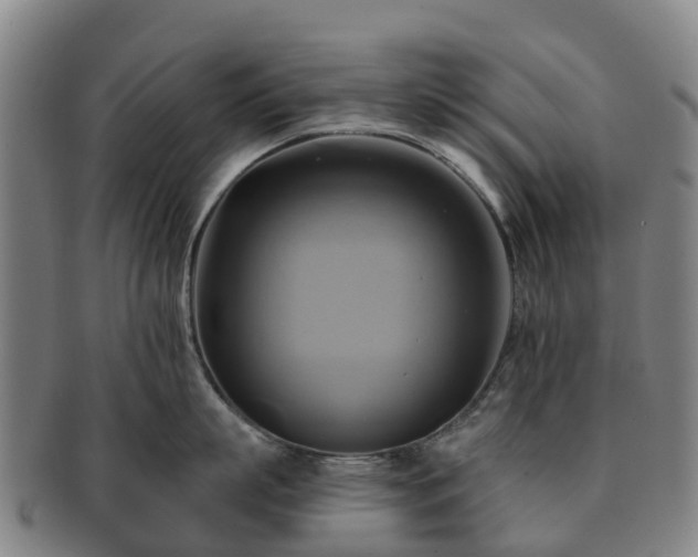 X0000091590863200708271242