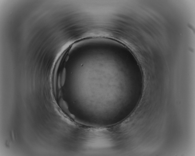X0000091590864200708271242