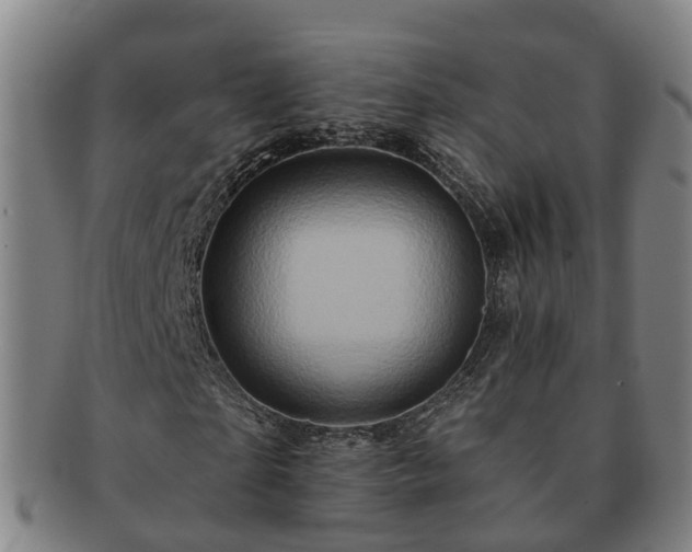X0000091590865200708271241