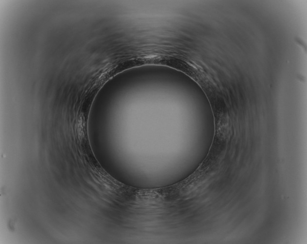 X0000091590866200708271241
