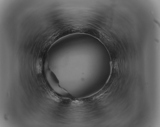 X0000091590868200708271241