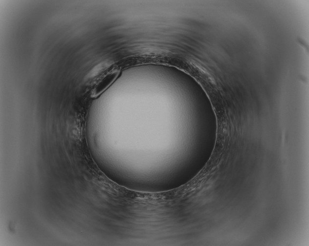 X0000091590869200708271241