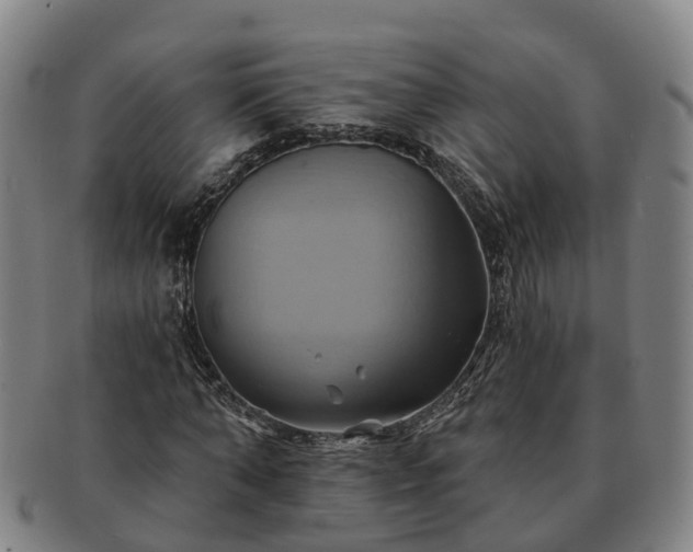 X0000091590870200708271241