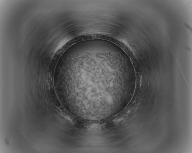 X0000091590871200708271241