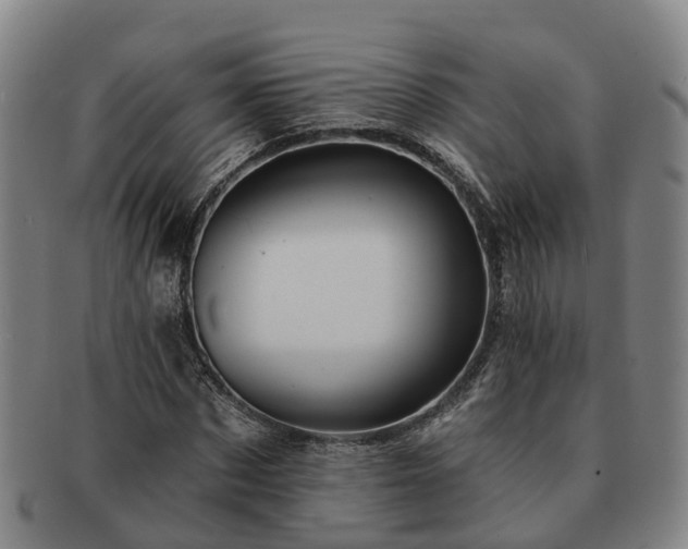 X0000091590873200708271241