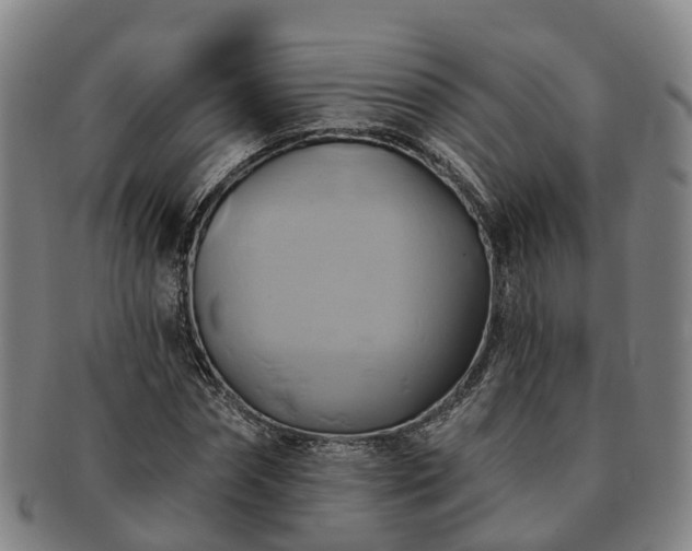 X0000091590874200708271241