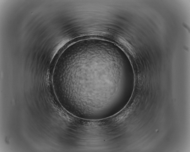 X0000091590875200708271241