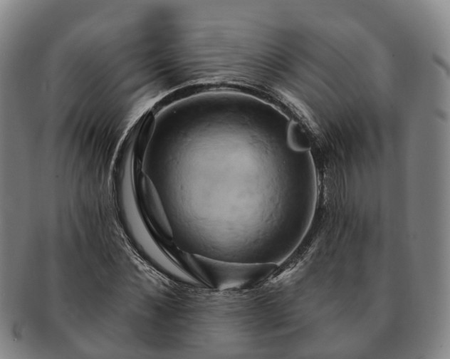 X0000091590876200708271241