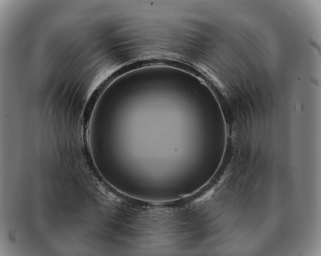 X0000091590877200708271241