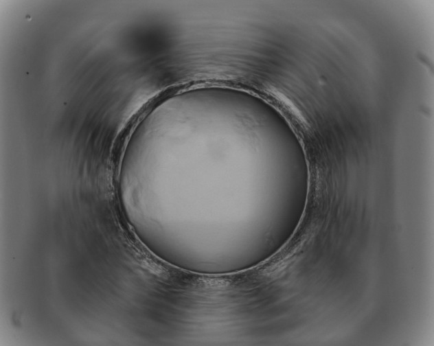 X0000091590878200708271241