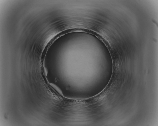 X0000091590879200708271241