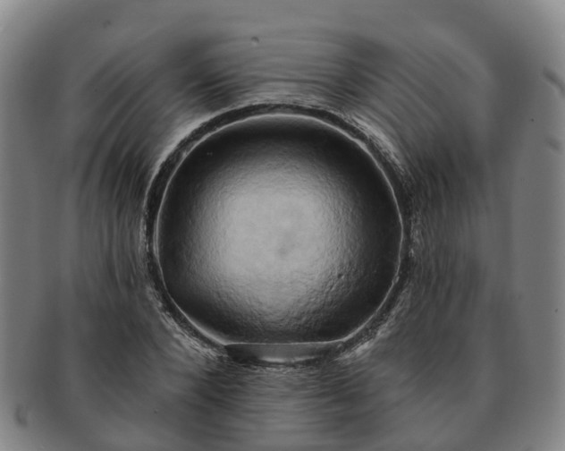 X0000091590880200708271241