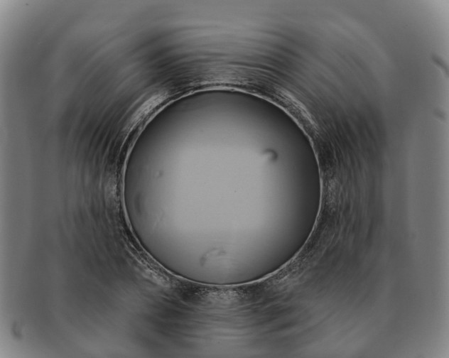 X0000091590882200708271241