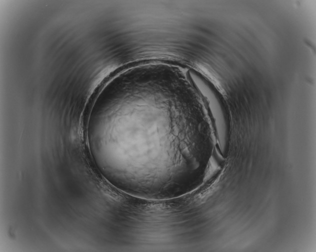 X0000091590883200708271241