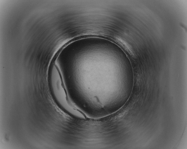 X0000091590884200708271241
