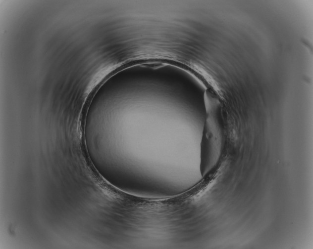 X0000091590885200708271241