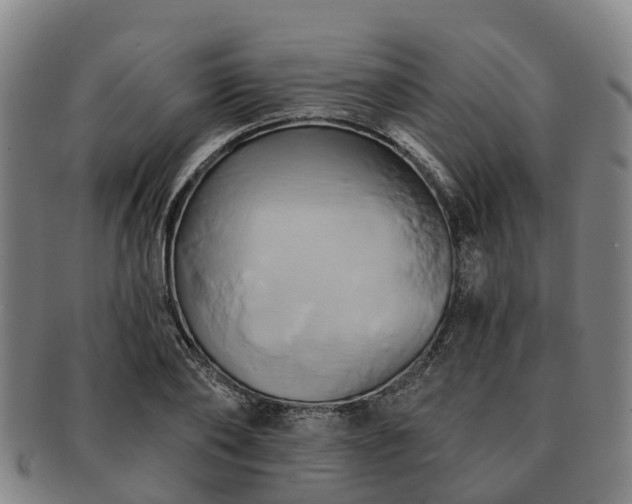 X0000091590886200708271241